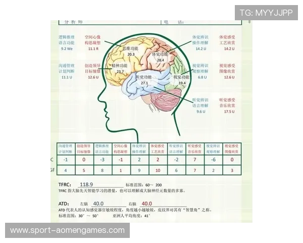 丽波真人测试的科学依据和心理学背景详解帮助你正确解读测试 丽波真人测试的科学依据和心理学背景详解帮助你正确解读测试